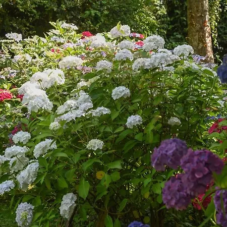 Vendégház Le -gite De Charme- 3*